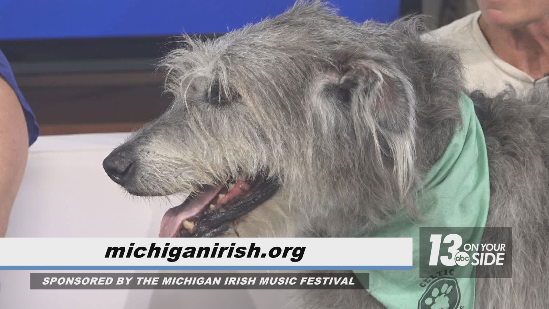 The Michigan Irish Music Festival celebrates all aspects of Irish culture, from the music to the food and drink, and even the dogs!