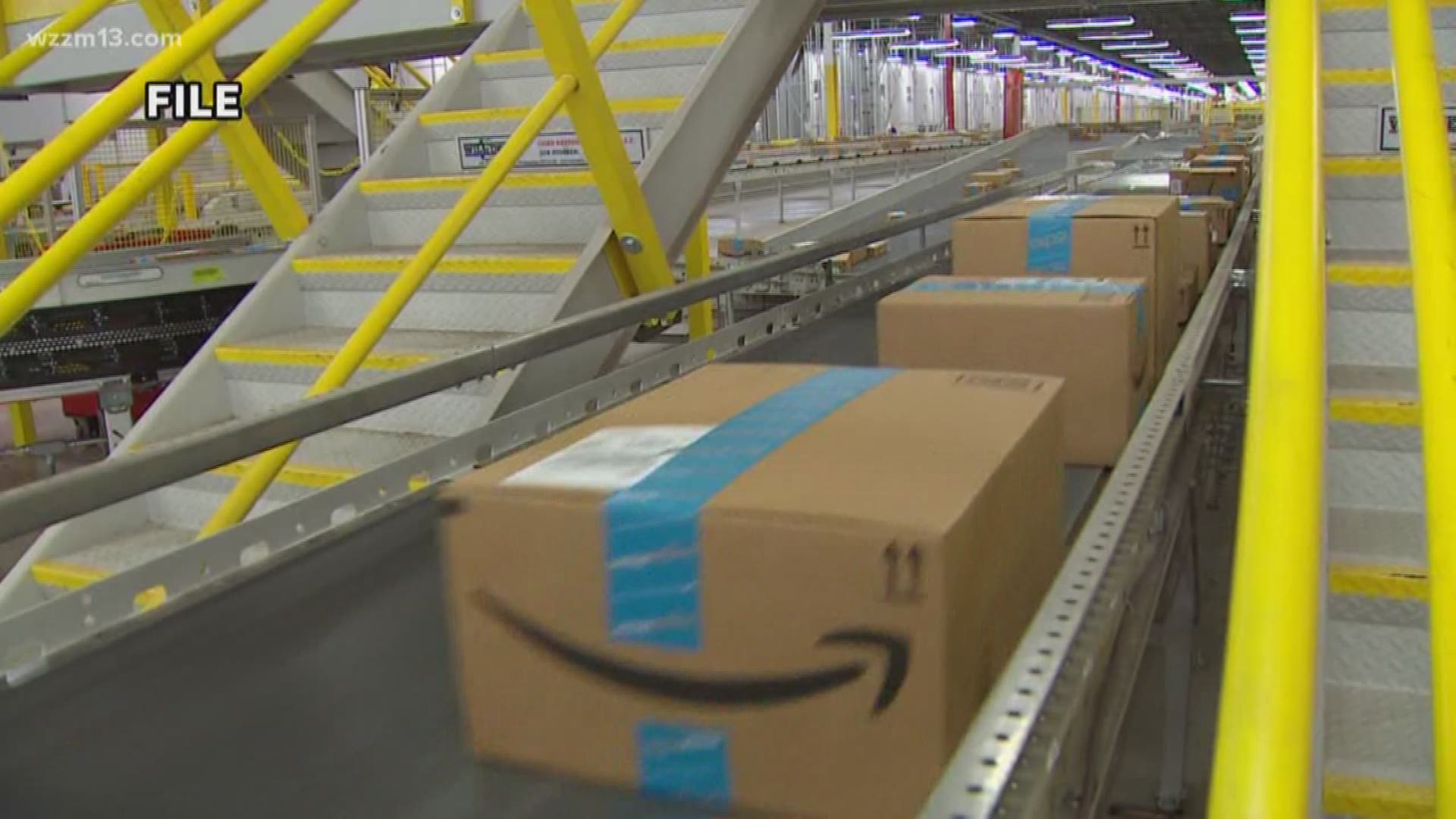Gaines Township to take up Amazon project