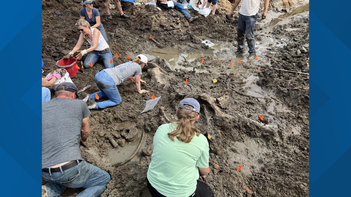 Up-close look at the mastodon bones discovered in Kent Co. | wzzm13.com