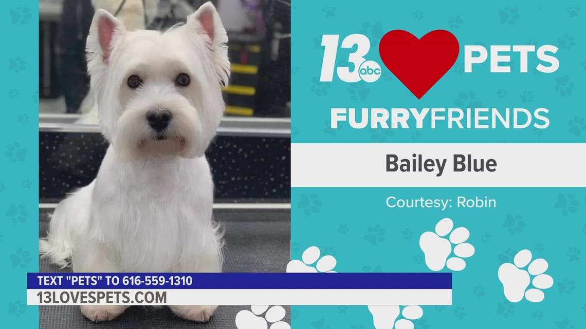 Furry Friends:  October 3, 2022 | Bailey Blue