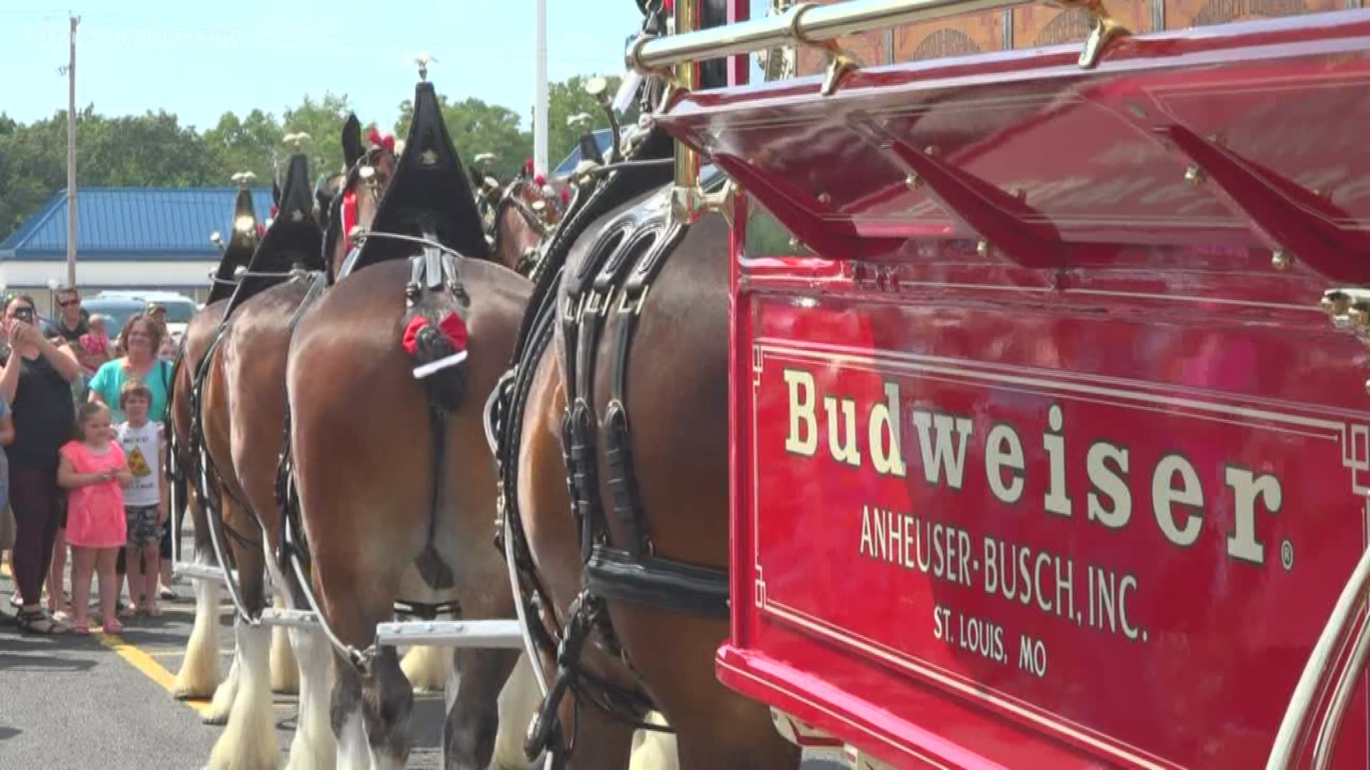 Budweiser Clydesdales Tour Schedule 218 Image to u