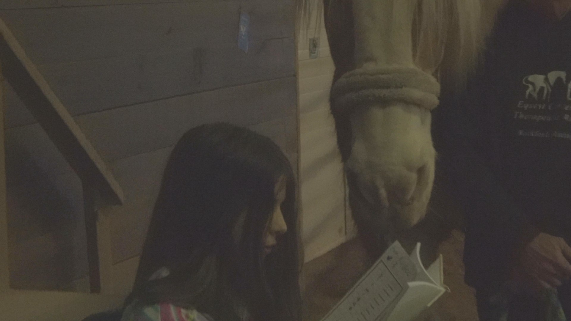 The Equest Center for Therapeutic Riding in Rockford took a whole new approach to National Reading Month, using horses to help students gain a love for reading.