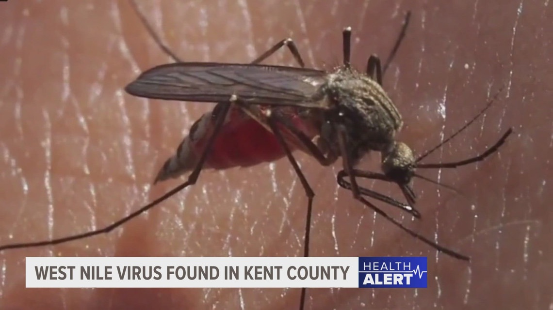 West Nile Virus Discovered In Kent County Mosquitoes Wzzm Com