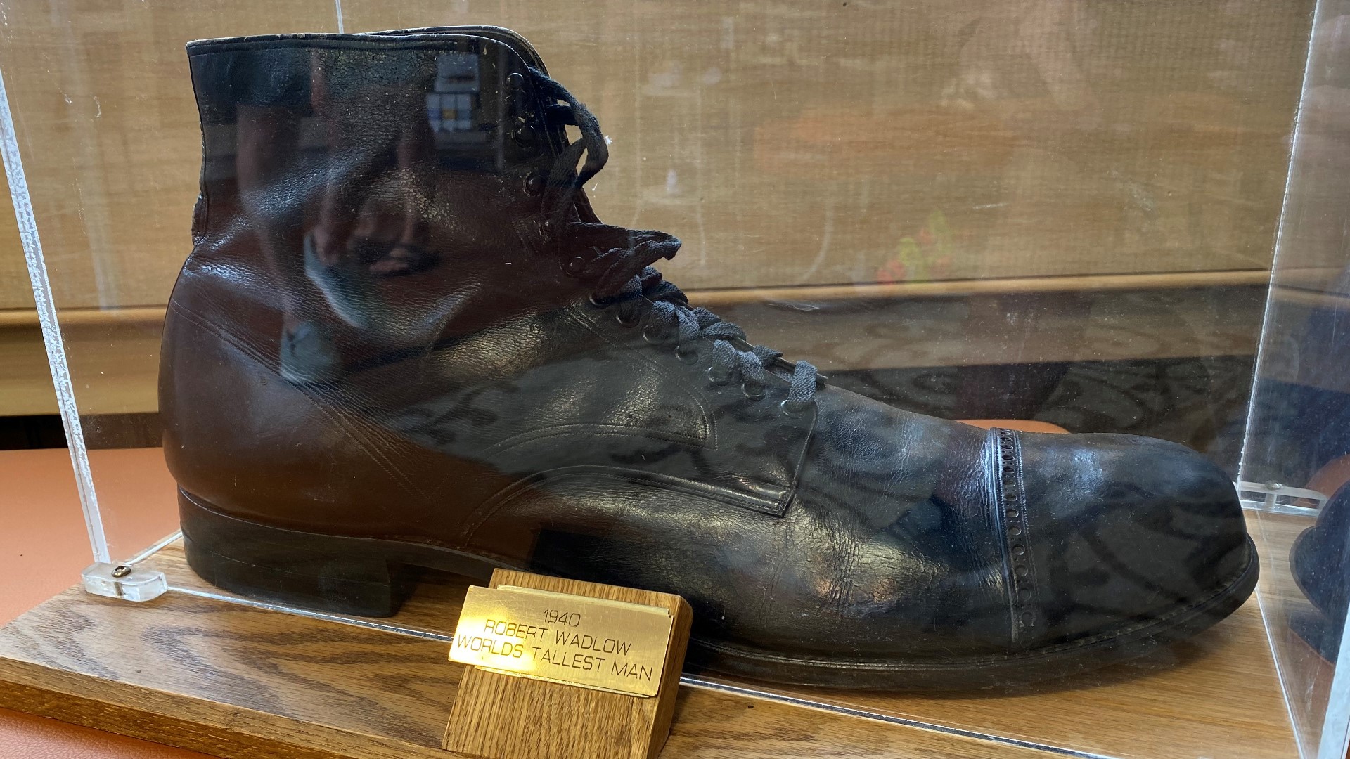 Size 37 shoe of world's tallest person on display at legendary Michigan ...