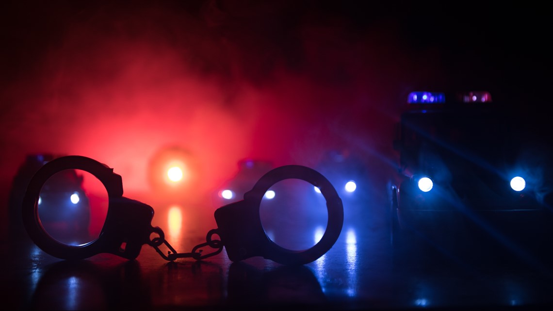 University professor among 2 men arrested in Calhoun County human trafficking enforcement operation