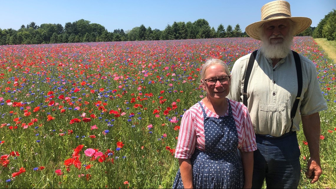 Fennville couple creates four acre field of flowers in memory of late ...