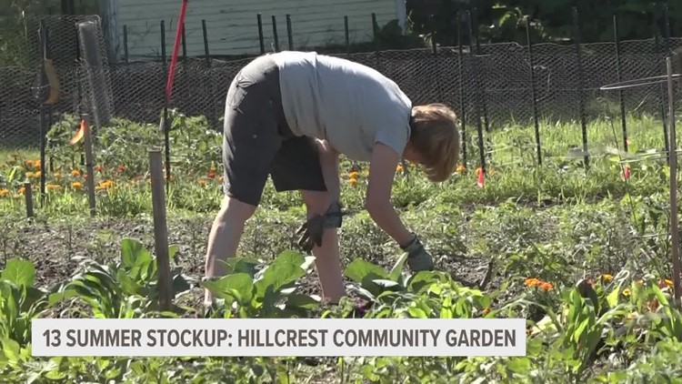Community garden in Grand Rapids offers affordable produce