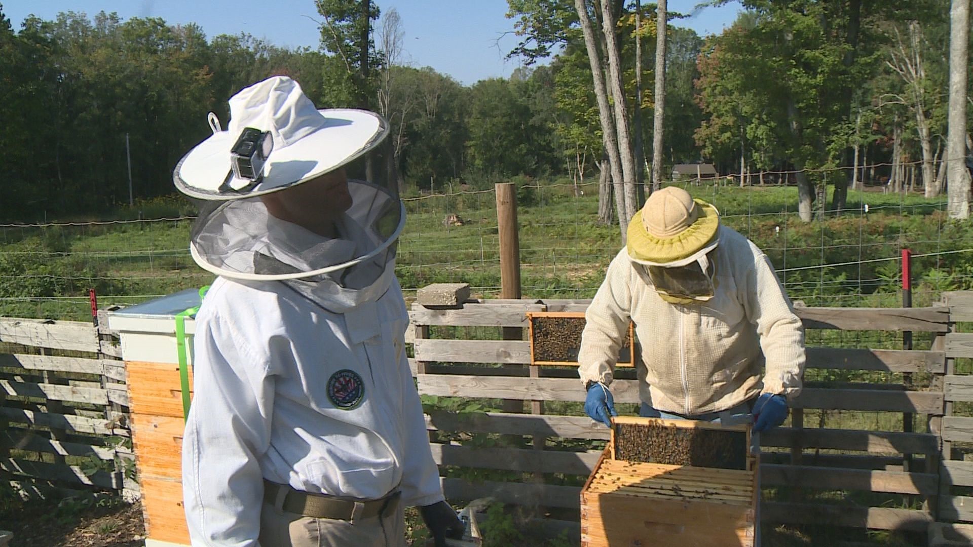 Designed as a beginning beekeeping education course, the program also aims to develop a community of support with other service members.