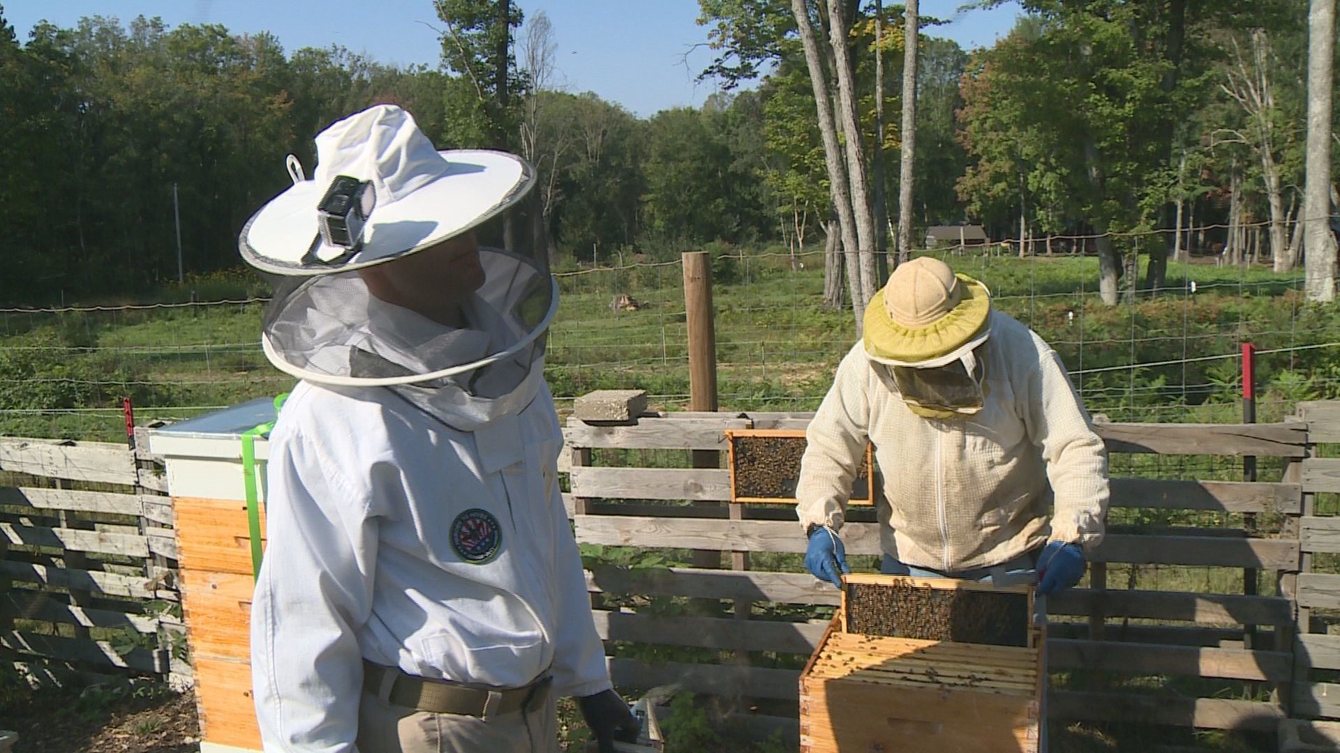 Veterans protect national food security by becoming beekeepers