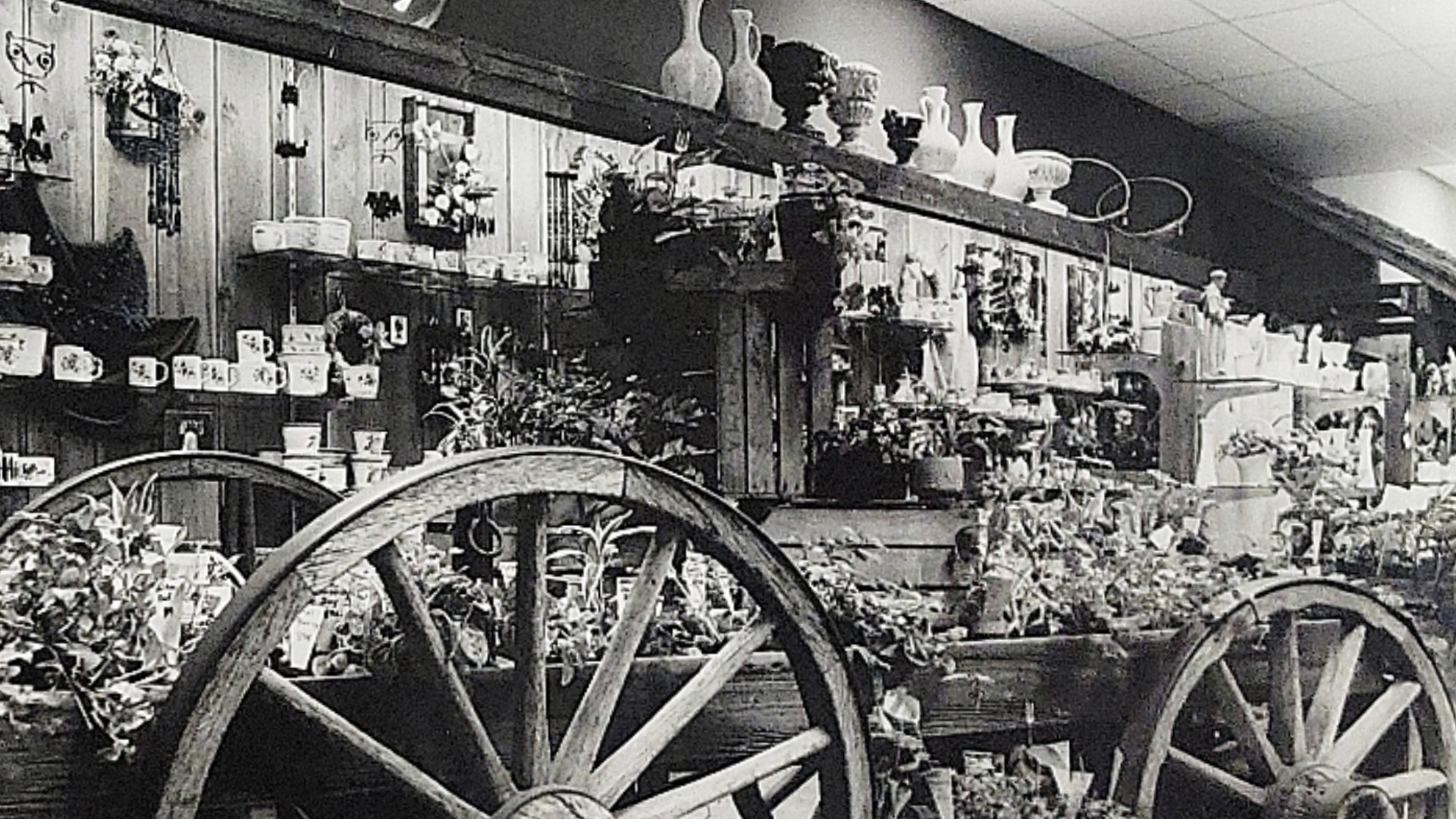 Sunnyslope Floral in Grandville closing soon