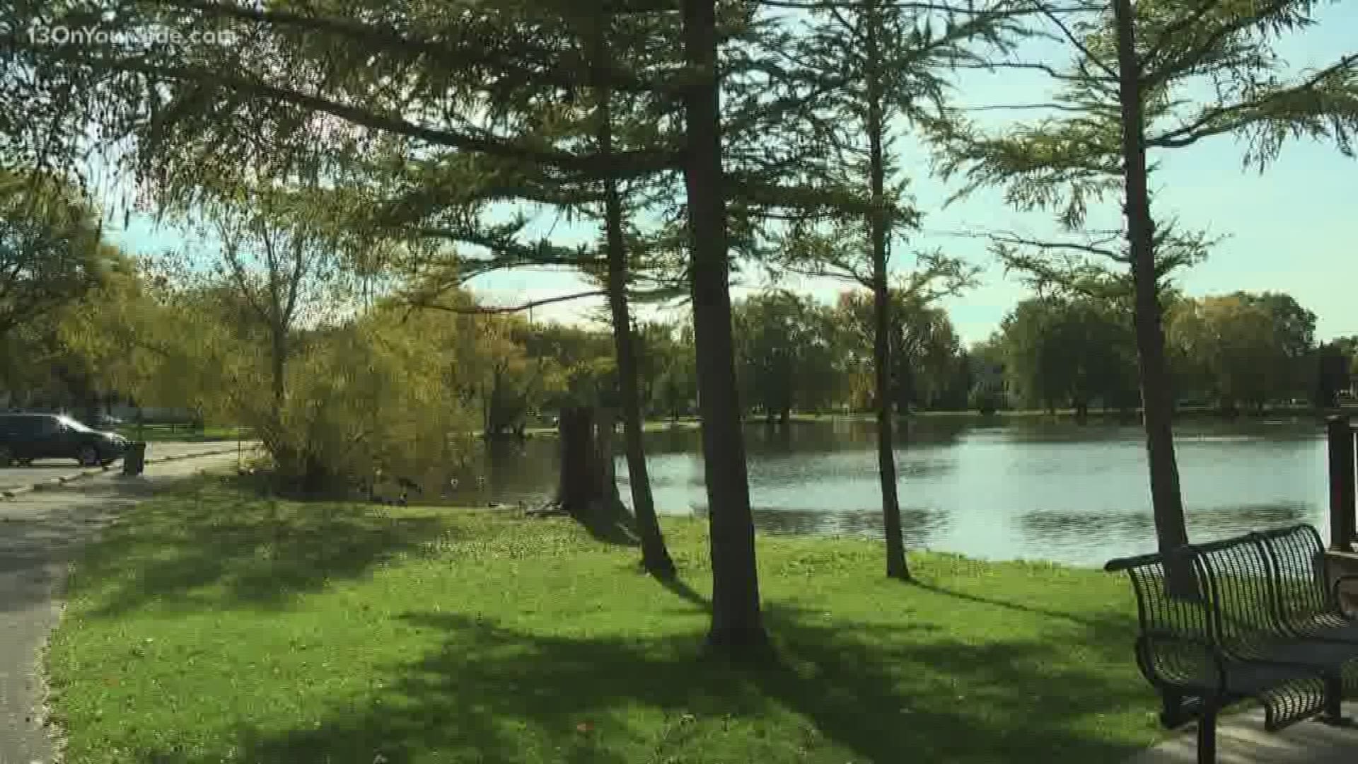 Grand Rapids residents will be voting on a proposal in November to establish a permanent parks millage.