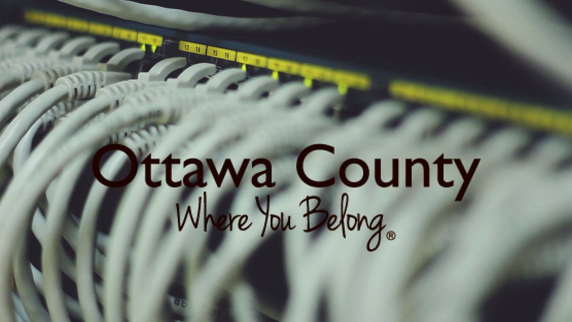 Survey shows Ottawa County problem