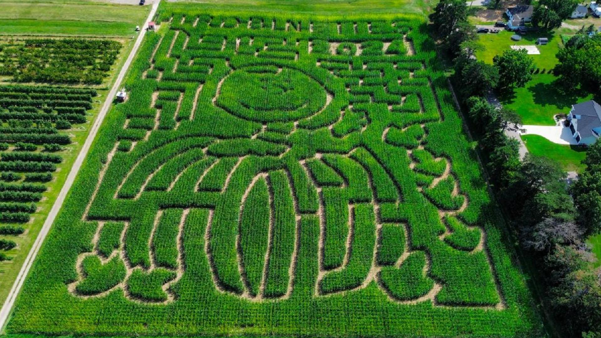 It's almost time to get lost in the iconic Robinette's corn maze! Here's a sneak peek at this year's design.