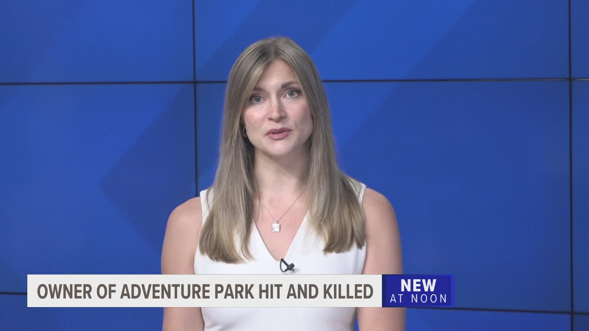 Cindy Lewis, co-owner of Lewis Adventure Farm & Zoo, has died after being hit by a car on the adventure park's property.