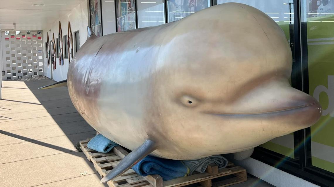 Battle Creek Habitat for Humanity ReStore selling huge fake whale