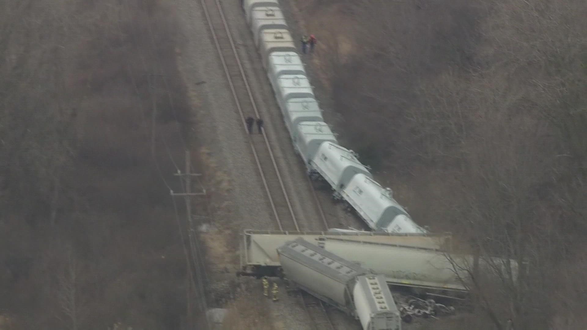 Emergency crews were on the scene of a freight train derailment Thursday near Detroit that sent several train cars off the tracks, officials said.