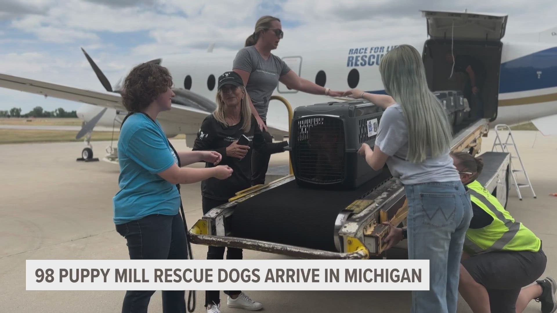 The dogs will be divided between shelters across Michigan. Many are in rough medical shape, and will need time before they are up for adoption.