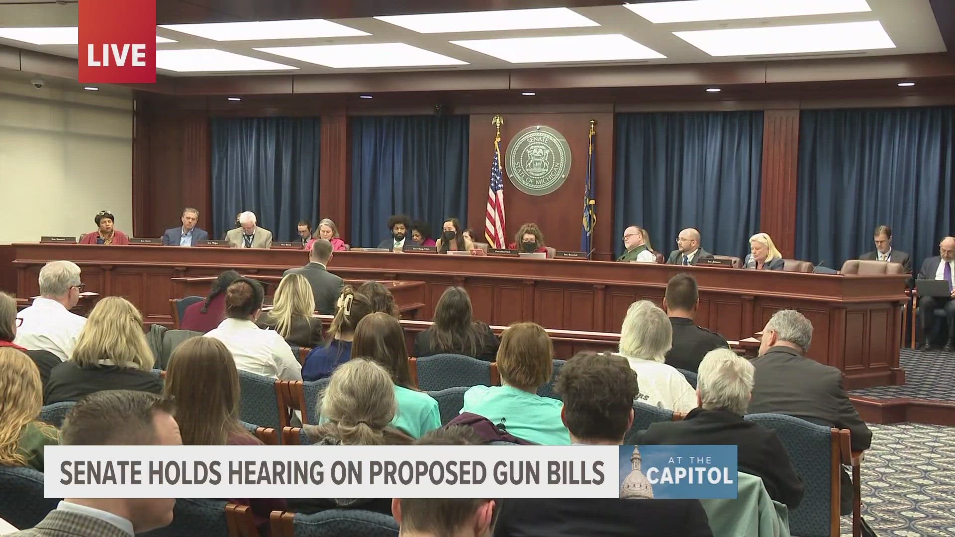 Senators are discussing dozens of bills targeting gun reform. It follows a vote in the House expanding federal background checks on people purchasing guns.