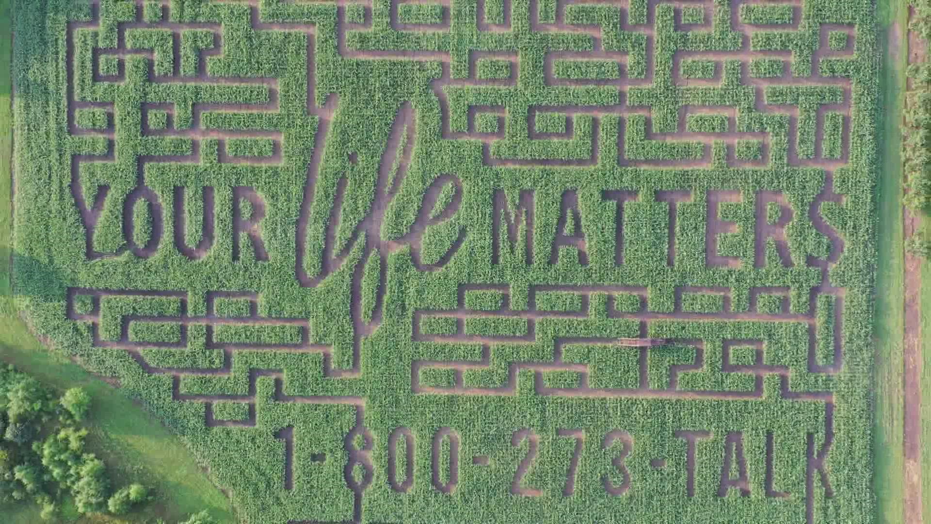 Justin Wendzel says he's been touched 3 times in his life by people who've committed suicide. So, the theme carved into his corn maze is, "Your life matters."