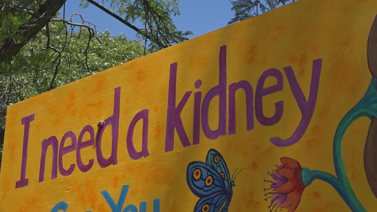 Yard sign raising awareness for kidney donation stolen in Grand Rapids