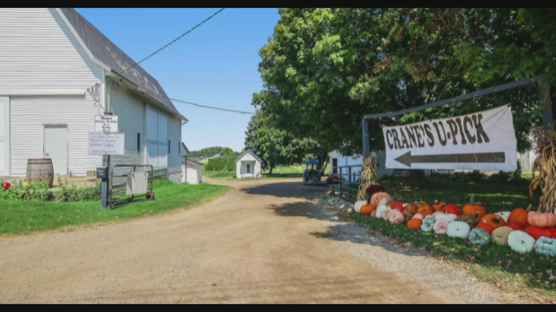 The farm house sits on just over 112 acres complete with fruit trees, a flower garden, plus a barn and storage shed.