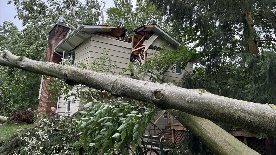 Whitehall man narrowly escapes tree falling into home | wzzm13.com